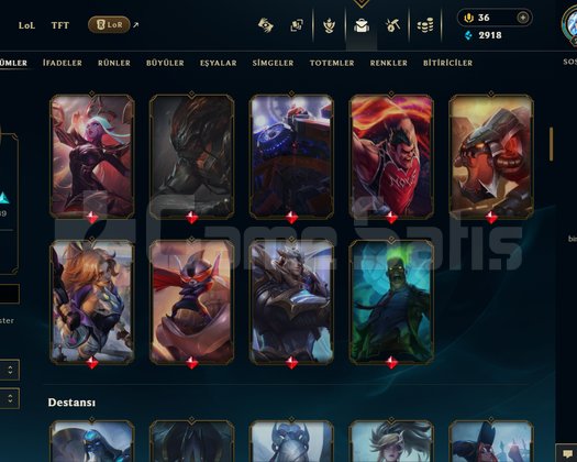 TR DİA3 93 LP 116 SKIN HANDMADE HESAP