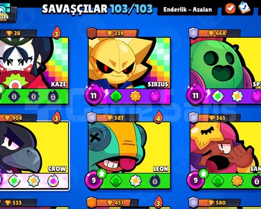 Full hesap