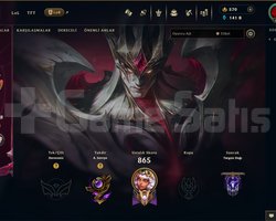 EUW | 373 SKİN | UNRANKED