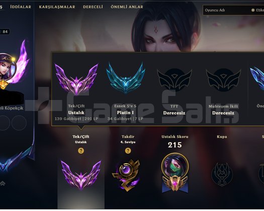 tr master kacirma al götür bedava