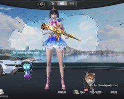 Pubg Mobile 75 koleksiyon hesap