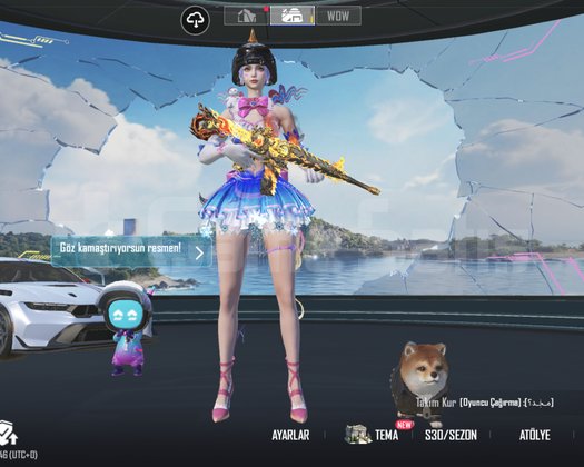 Pubg Mobile 75 koleksiyon hesap