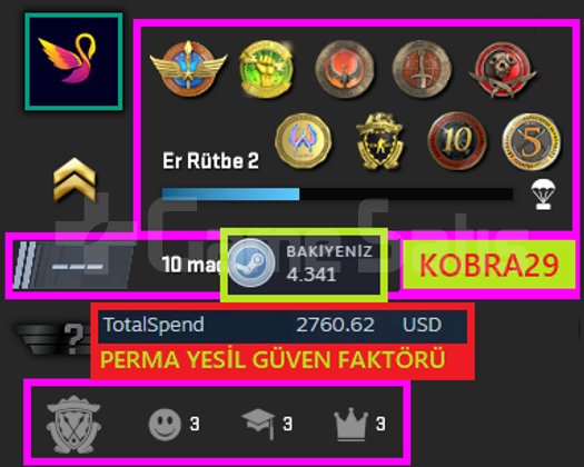 NADİR ! FACEİT! 90K OYUN+9 MADALYA 51 WİN 620 SAAT