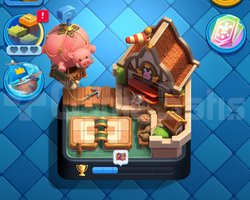 11k Kupa