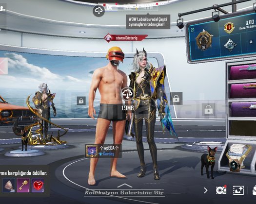 FULL EKONOMİK PUBG HESABI