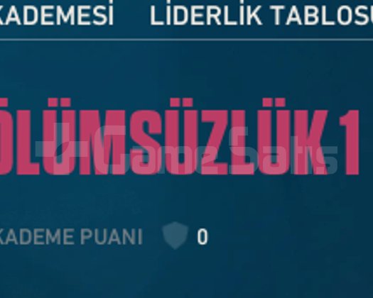 İMMO1 400+ LVL  50K YATIRILMIŞ HESAP  FULL SKİN