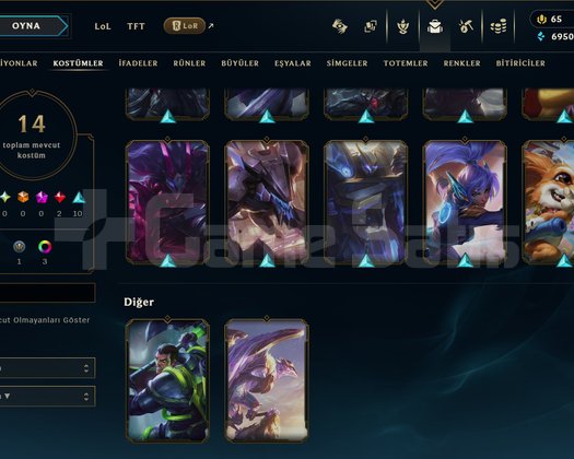 TR // 14 SKIN // RANKED READY