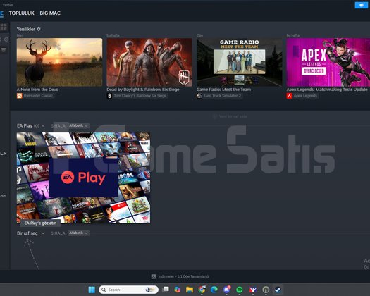 77 Oyunlu Steam Hesabı