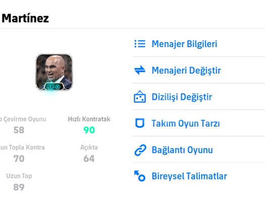 105 RONALDO TEK BAĞ HESAP