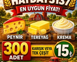KAMPANYA 300 ADET KREMA PEYNİR TEREYAĞ