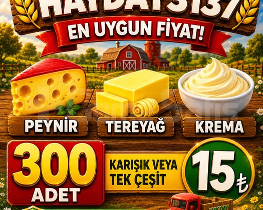 KAMPANYA 300 ADET KREMA PEYNİR TEREYAĞ