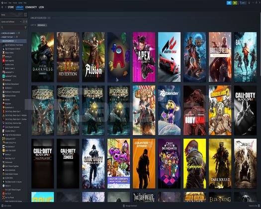 13 Yıllık Steam Hesabım Satılık