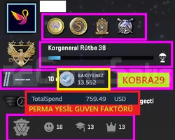 4 MADALYA 147 WİN 467 SAAT SEÇKİN HESAP