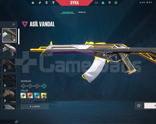 Bol Skinli Plat1 304 Level Kelepir Hesap