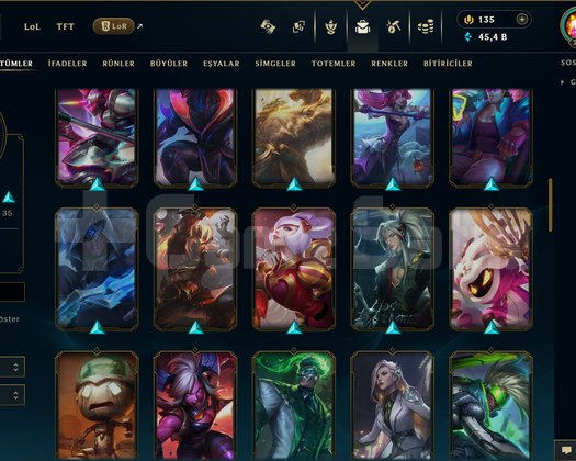 TR / 235 LEVEL / 69 SKİN / FUL HERO +MAİL