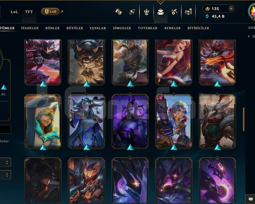 TR / 235 LEVEL / 69 SKİN / FUL HERO +MAİL