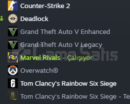 steam hesap
