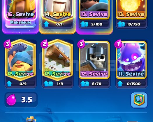 9500 Kupa Kraliyet devi main