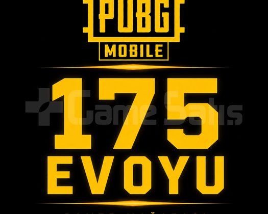 175 EV OYU UYGUN FİYAT