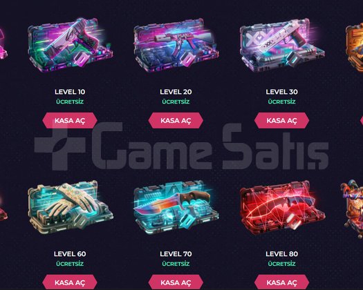 STEAM + FACEİT + SKİNCLUP 89 LEVEL