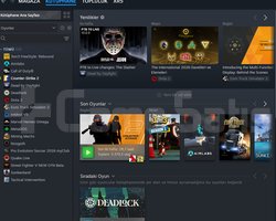 STEAM + FACEİT + SKİNCLUP 89 LEVEL