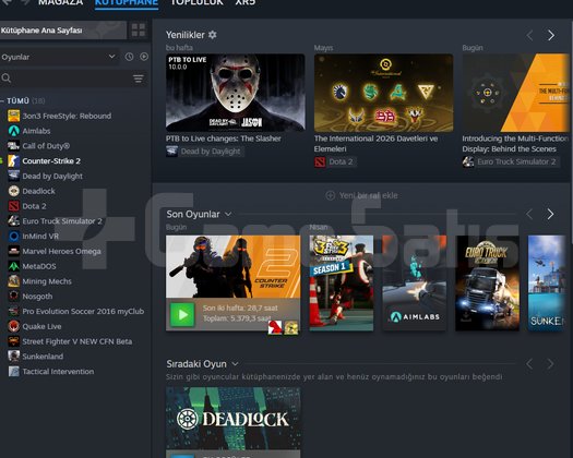 STEAM + FACEİT + SKİNCLUP 89 LEVEL