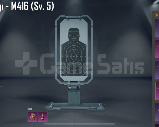 Pubg hesap acil satılık