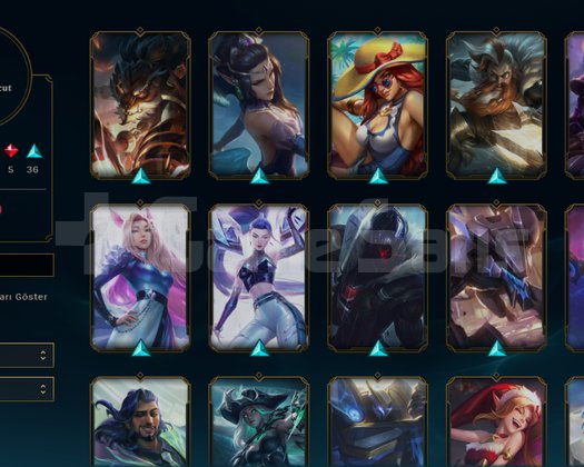 65 Skin Full Hero 72wr Master Acc