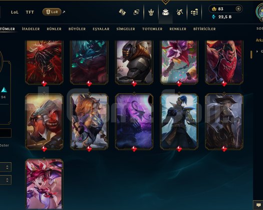 TR / 214 LEVEL / 301 SKİN / FUL HERO +MAİL