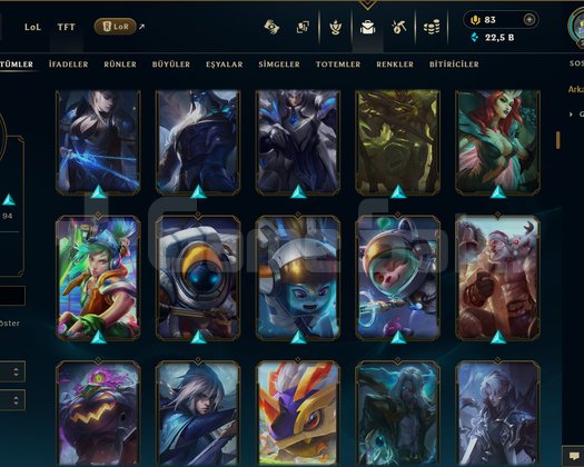 TR / 214 LEVEL / 301 SKİN / FUL HERO +MAİL