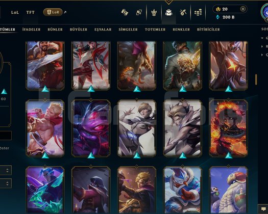 TR / 431 LEVEL / 169 SKİN / FUL HERO +MAİL +ELMAS