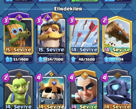 25. Arena 10100 kupa