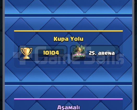 25. Arena 10100 kupa