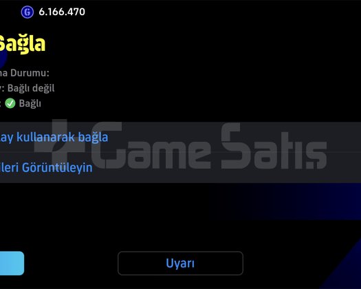 GÜZEL HESAP TEK BAĞ