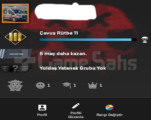 İLK MAİLLİ TEMİZ PERMA GREEN CS2 HESABI