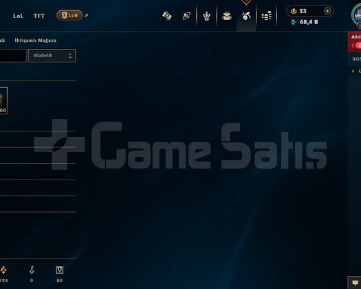 1017 LVL PLAT 160 KOSTÜM HESAP