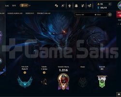 1017 LVL PLAT 160 KOSTÜM HESAP