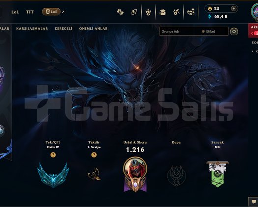1017 LVL PLAT 160 KOSTÜM HESAP