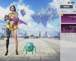 Çift Porsche, Apollo,Seviye 5 M762 | 1 Nihai Set