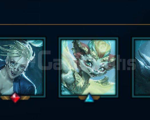 TR Plat 1 Fresh hesap yerleştirme maçlarında