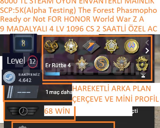 9 MADALYALI 4 LV Ready or Not FOR HONOR World War