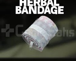 100x BİTKİSEL BANDAJ