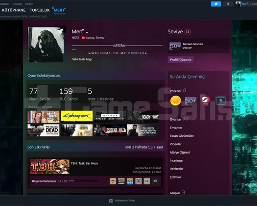 ACİL SATILIK GÜVENİLİR STEAM HESABI 10 YILLIK