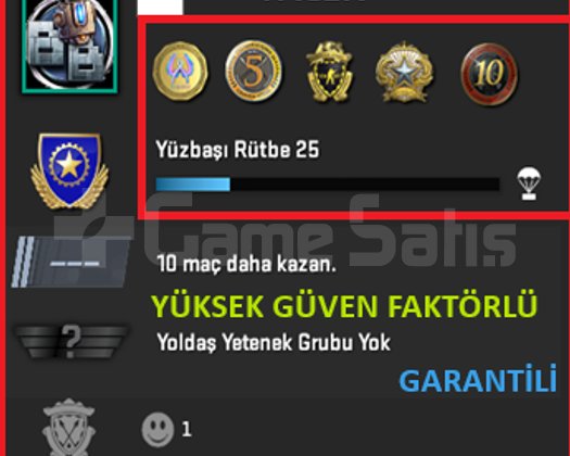 ANINDA TESLİM | 5 MADALYA | 285 SAAT | FACEIT