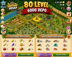 80 Level 6000 Ağıllı Hesap