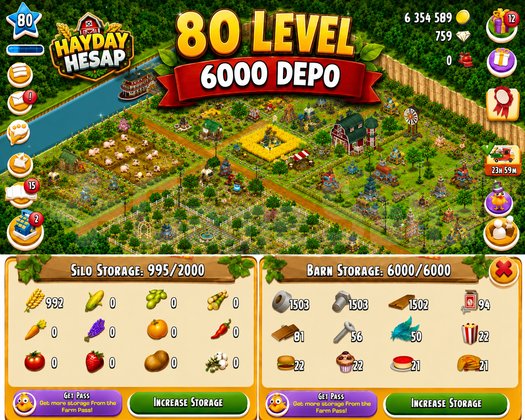 80 Level 6000 Ağıllı Hesap