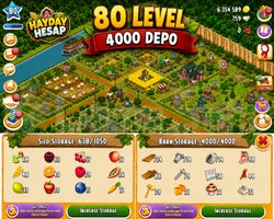 80 Level 4000 Ağıllı Hesap