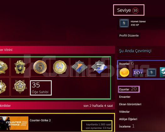 SEÇKİN YEŞİL FAKTÖR | 8 MADALYA | FACEİT  13K OYUN