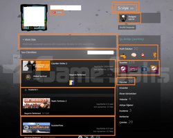 101 LV STEAM 1095 TL CS 2 ENVANTERLİ GTA V Call of
