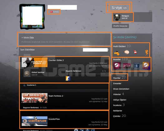 101 LV STEAM 1095 TL CS 2 ENVANTERLİ GTA V Call of